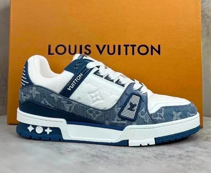 Louis vuitton skate sneakers LV Trainer Shoes                                 -3