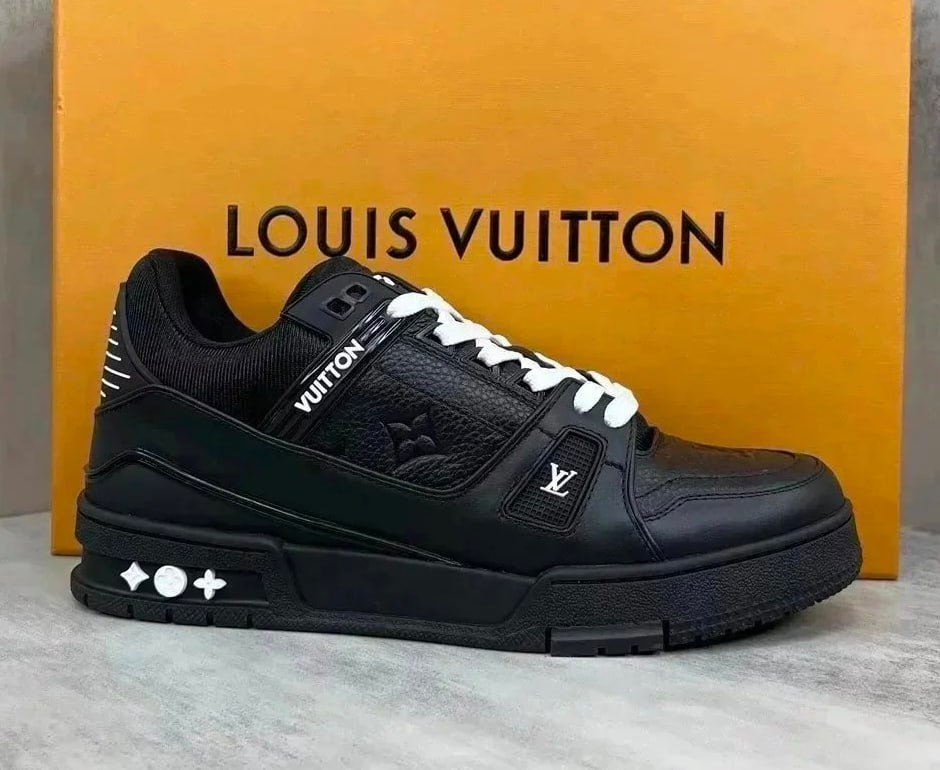 Louis vuitton skate sneakers LV Trainer Shoes                                 -4