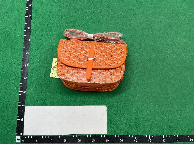 Goyard Bag                                 -5