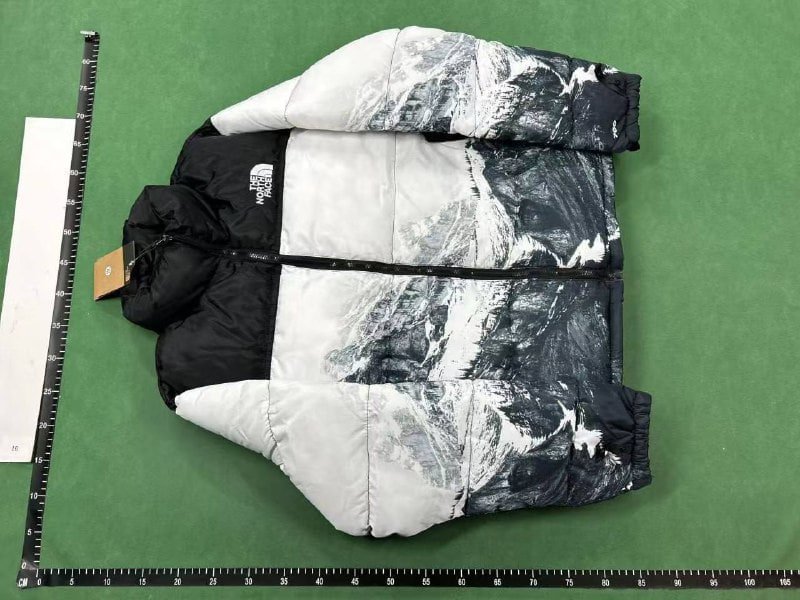 The North face Down Jackets                                       -3