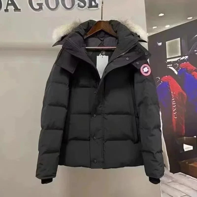 Canada Goose  Moncler Ralph Lauren Burberry  Prada Down jacket/vest 