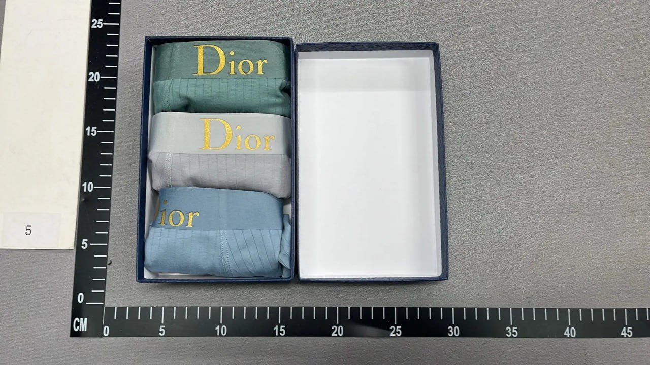 Dior Underwear -4