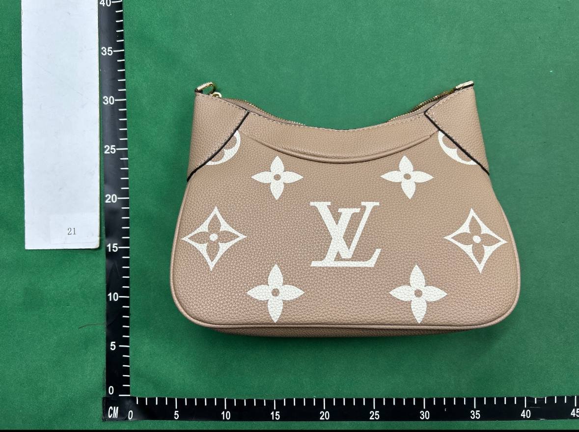 Louis Vuitton Bag -4