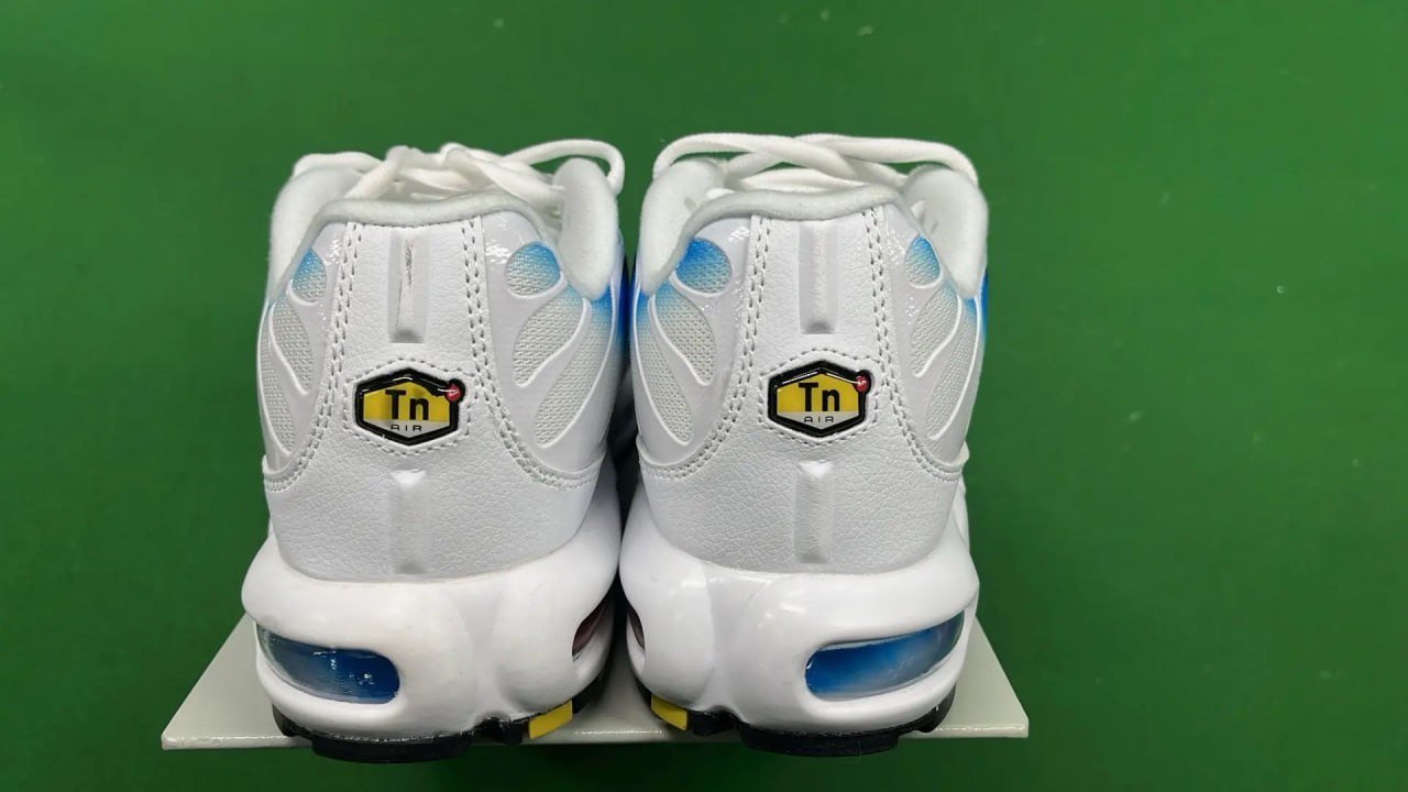 Nike Air Max Plus TN shoes -3