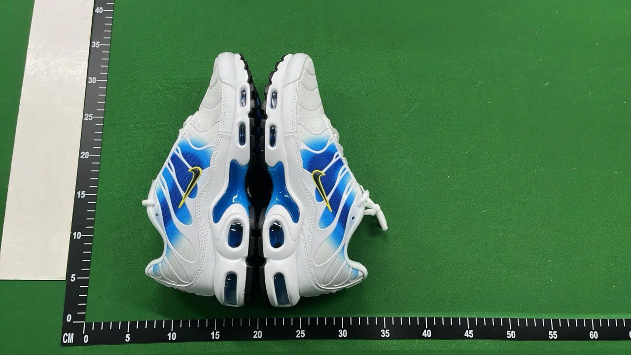 Nike Air Max Plus TN shoes -2