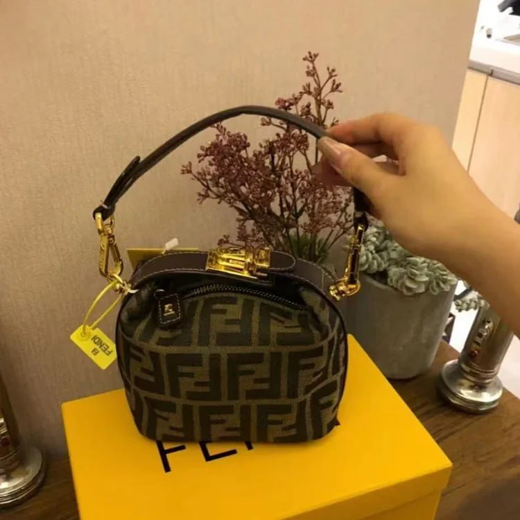FENDI BAG? -4