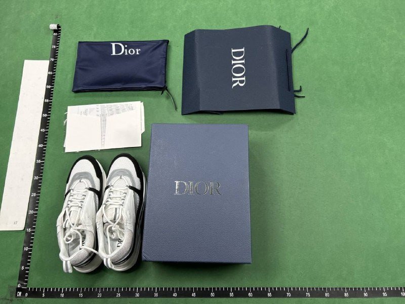Dior B22 -4