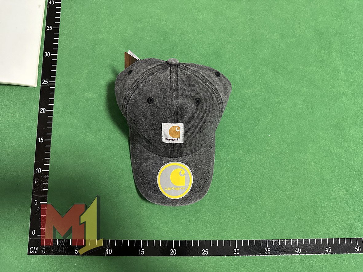 Carhartt Hat -4