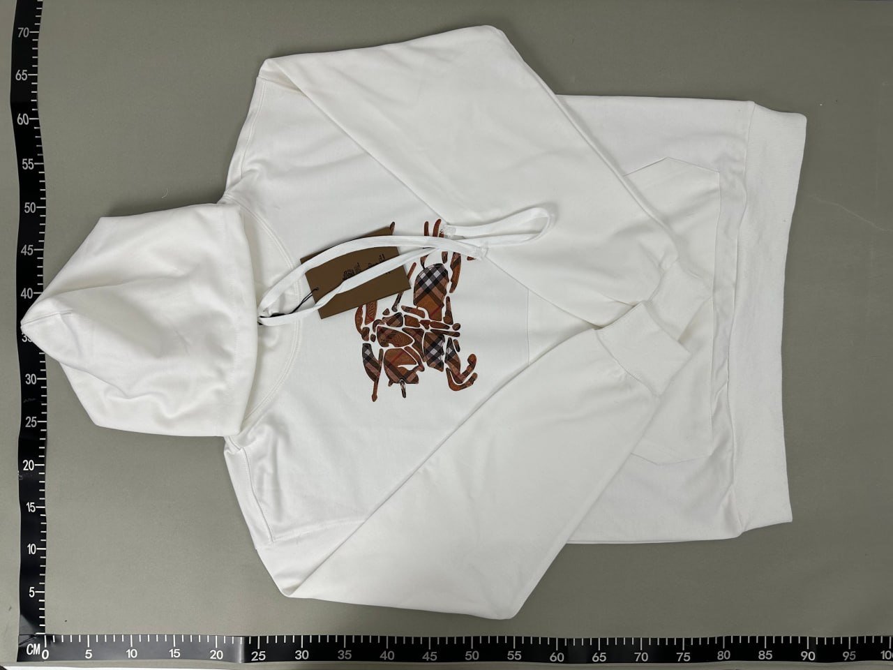 Burberry Hoodie -2