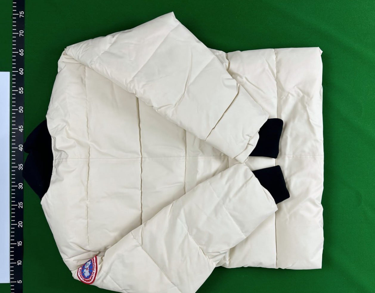 Canada Goose Puffer -3