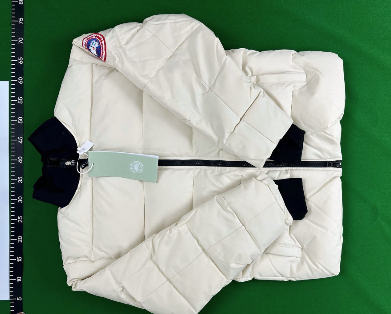 Canada Goose Puffer -2