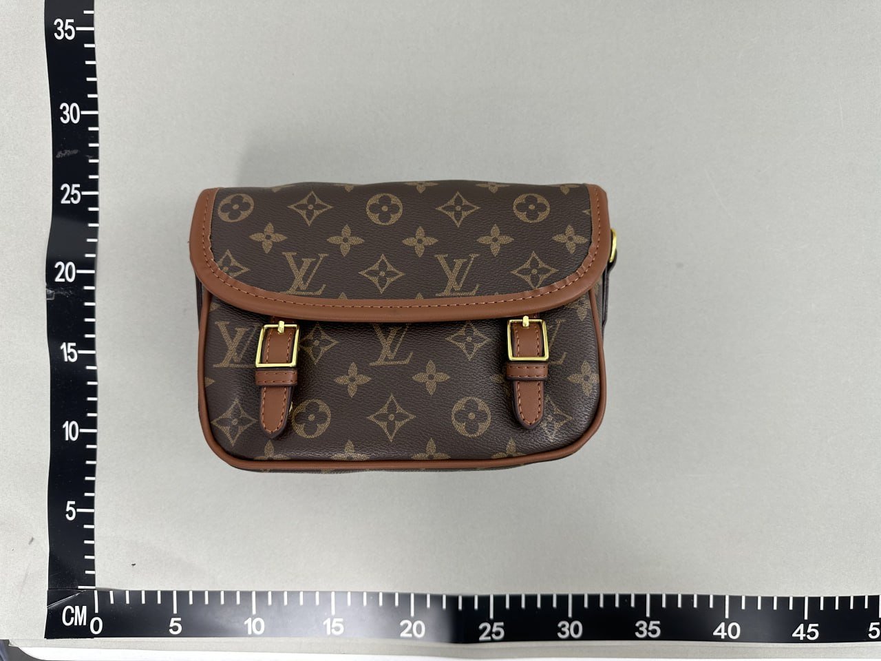 Louis Vuitton Bag -2