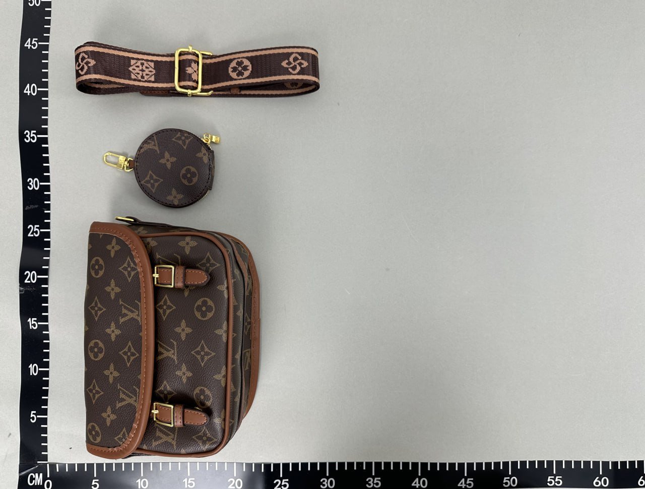 Louis Vuitton Bag -4