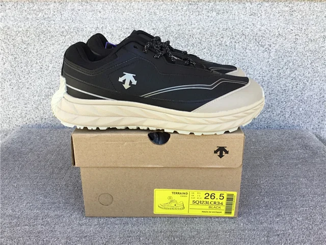 DESCENTE TERRAIND -5