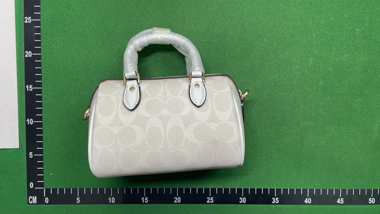 Coach Bag -3