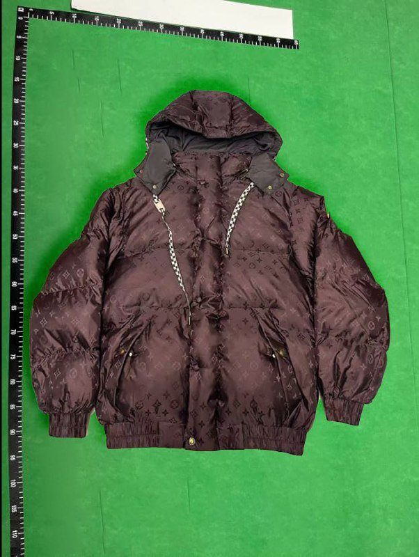 Louis Vuitton LV down jacket -2