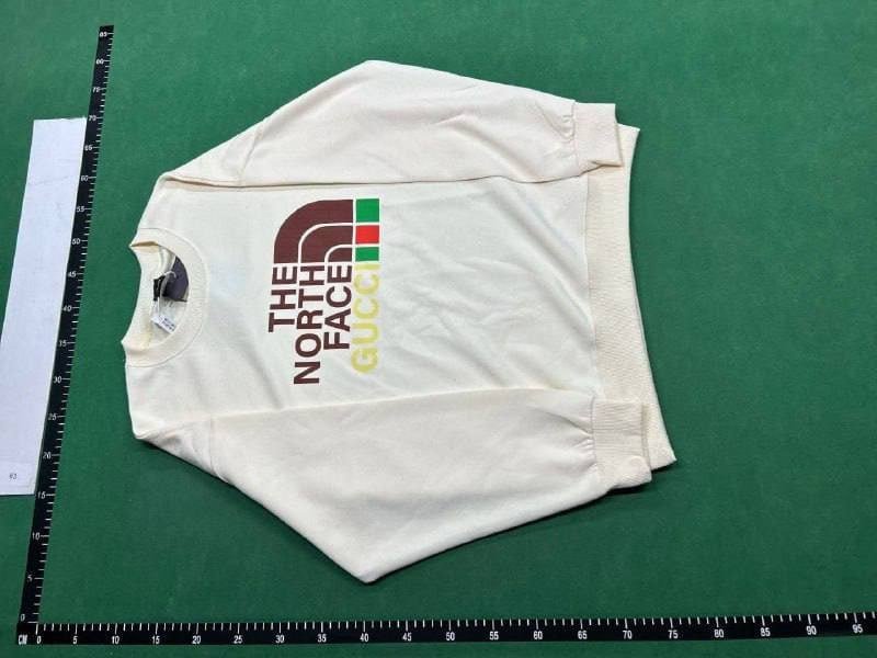 The north face hoodie -2