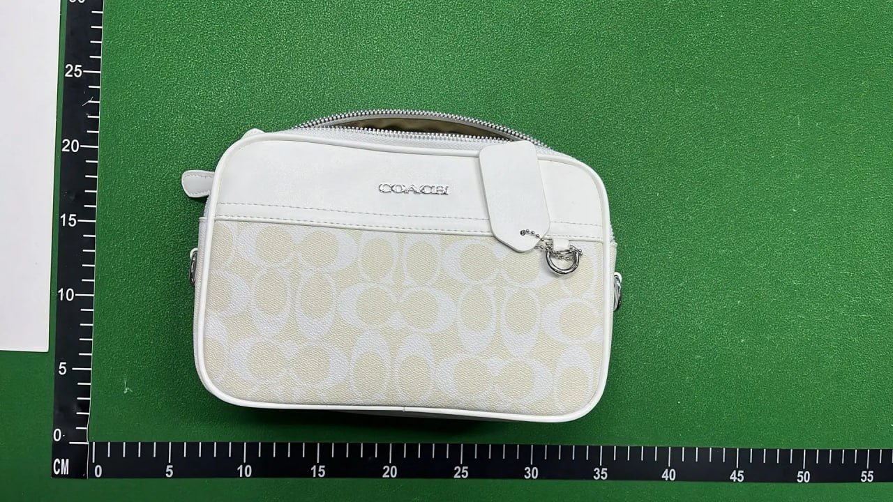 Coach Shoulder Bag -2