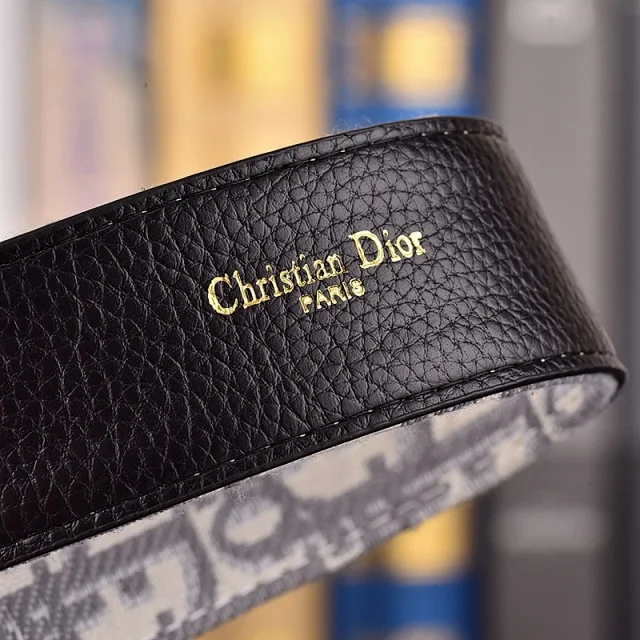 Dior Belt -4