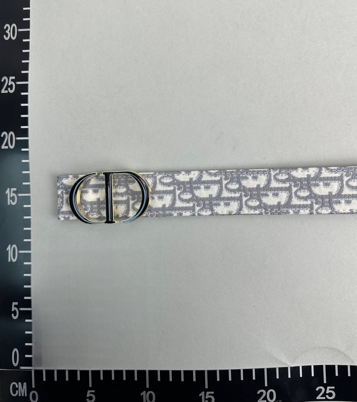 Dior Belt -3