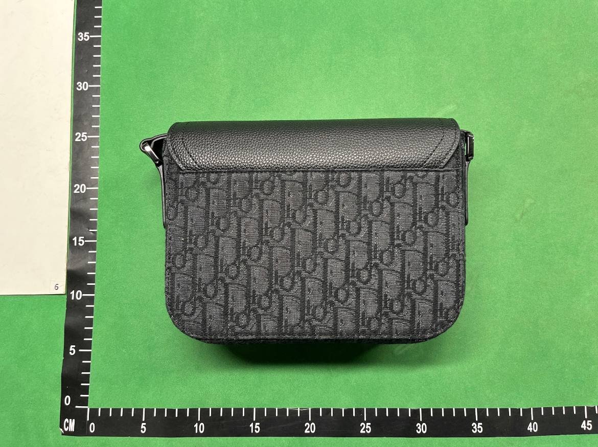 Dior Bag -4
