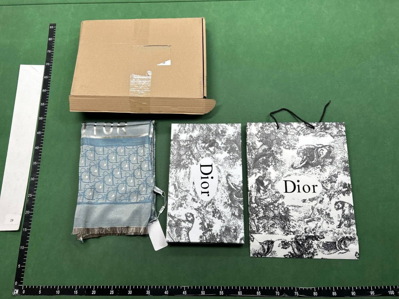 Dior Scarf -4