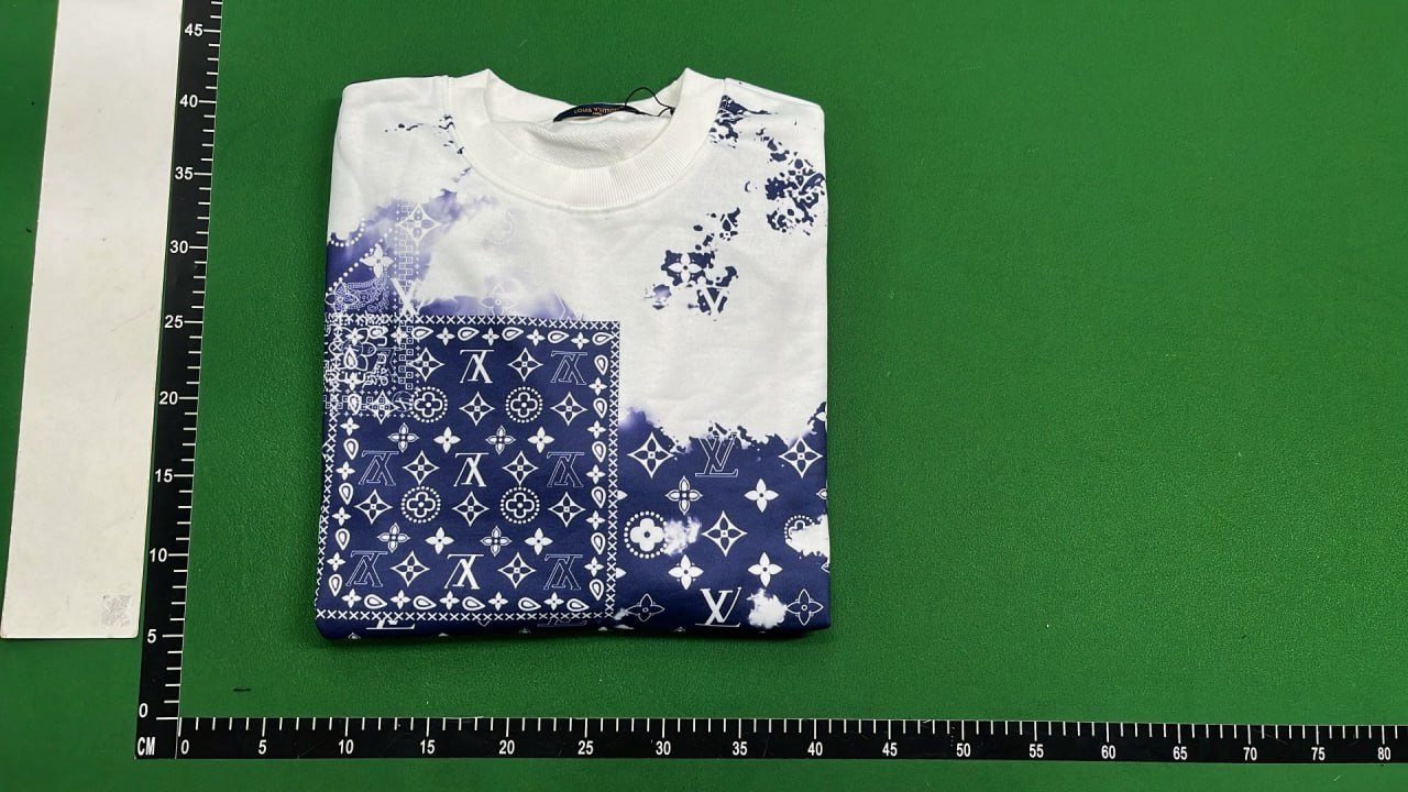 Lv Sweatshirt -5