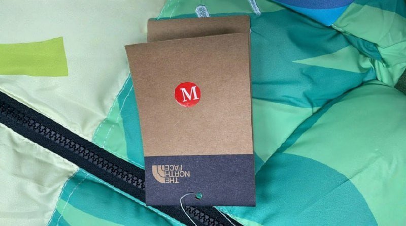 the north face down jacket -4
