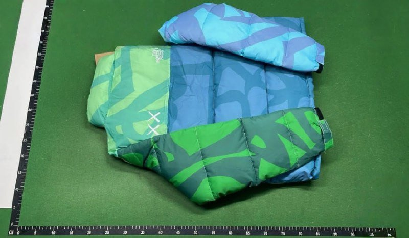 the north face down jacket -3