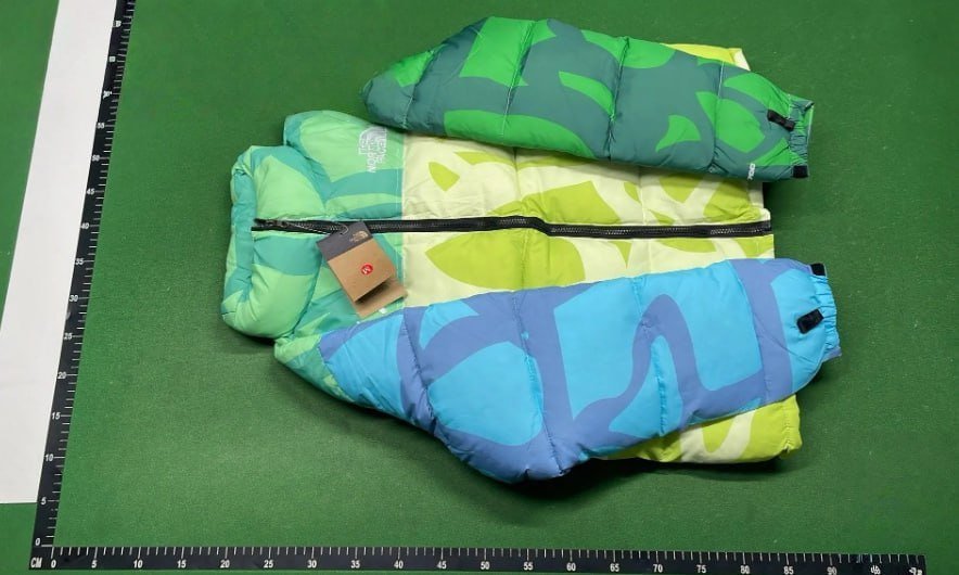 the north face down jacket -2