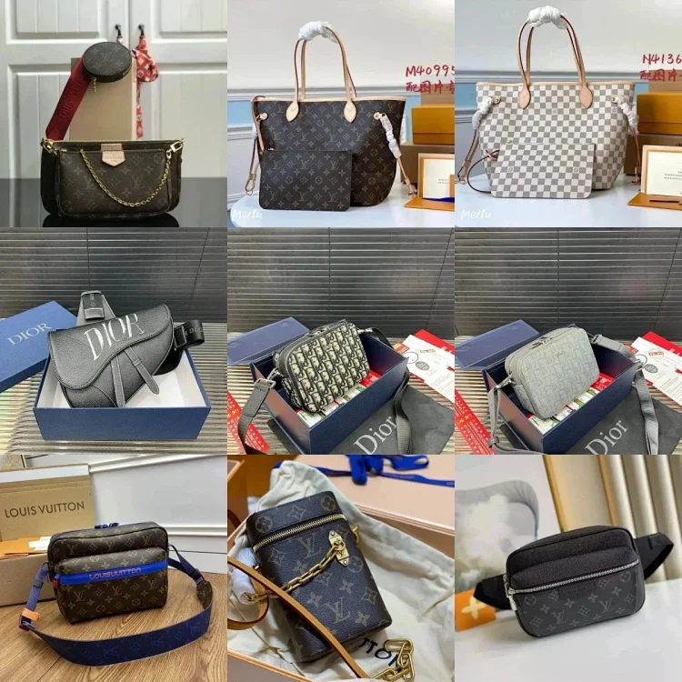 Louis VuittonLVDior bags