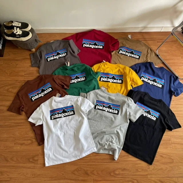 patagonia tee