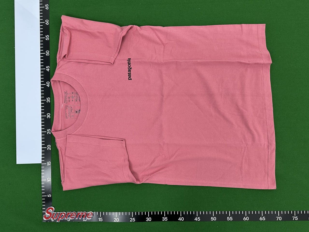 patagonia tee -2