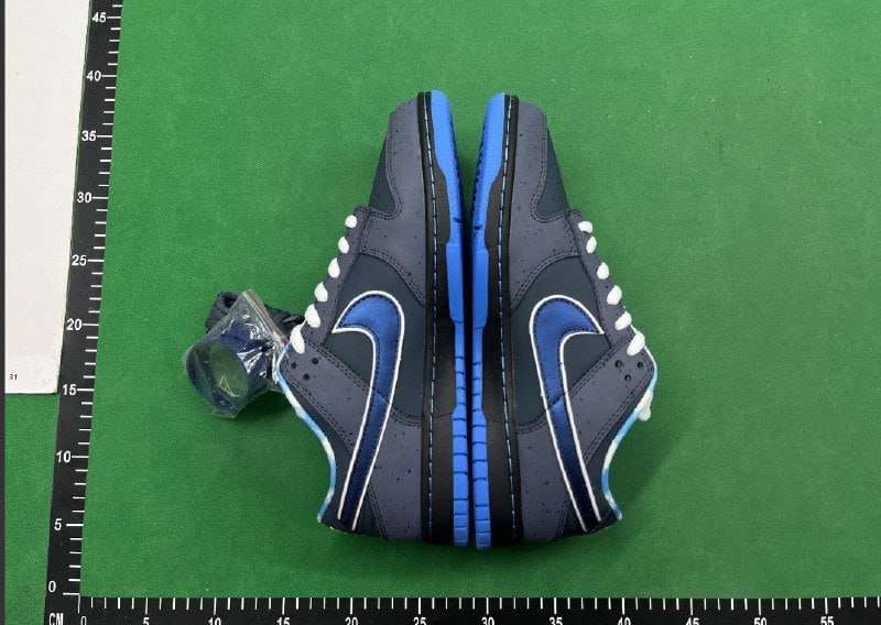 Nike Dunk SB -4