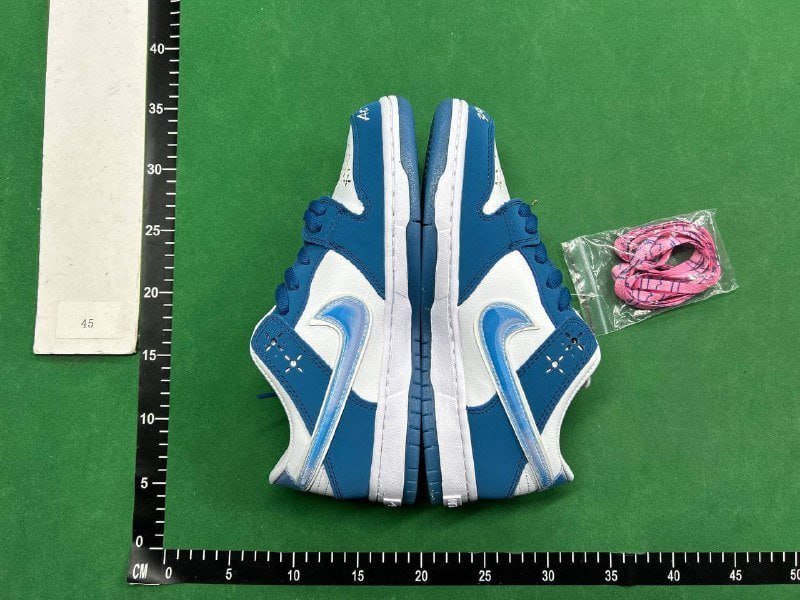Nike Dunk SB -2