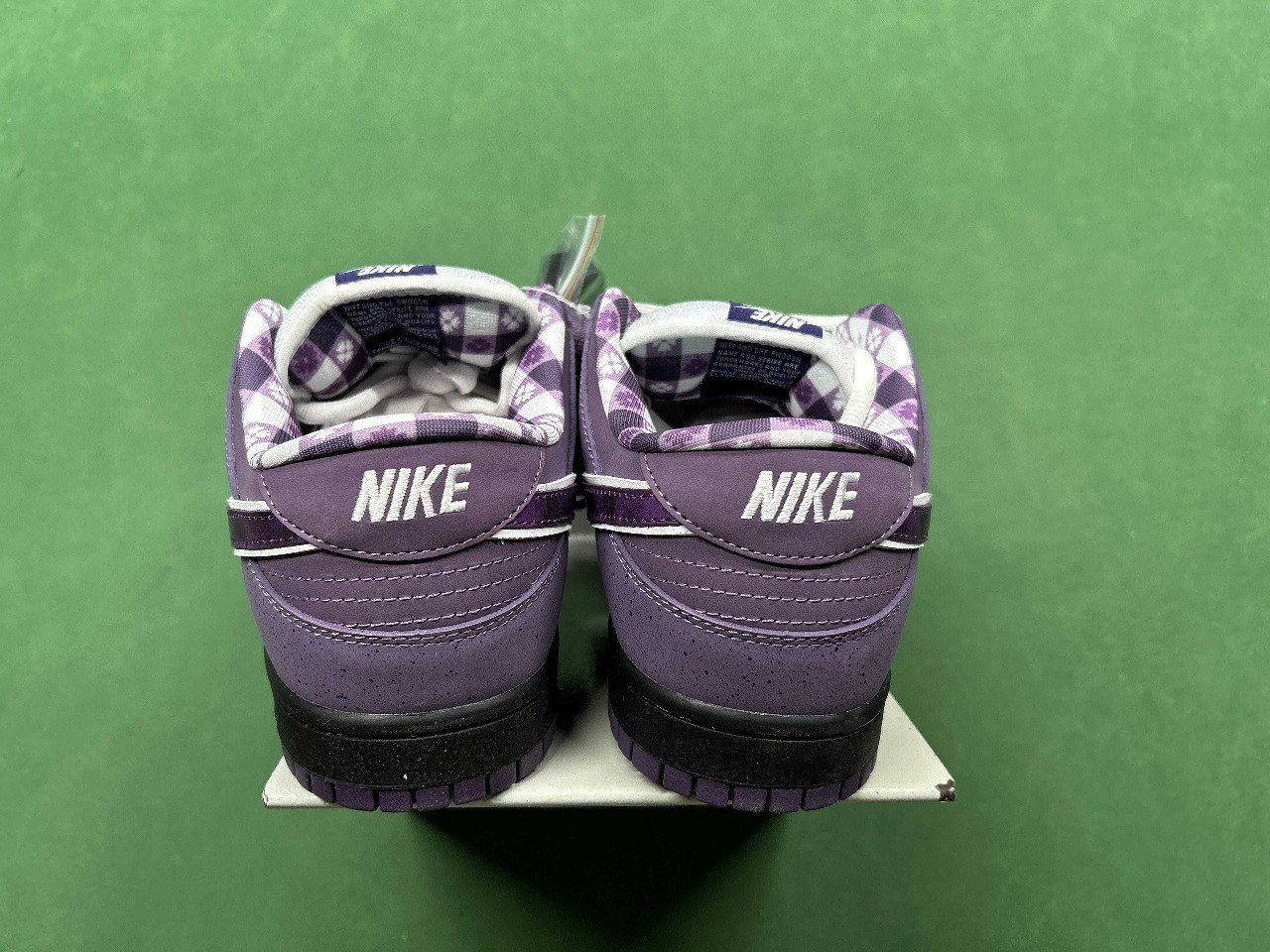 CONCEPTS x Nike Dunk SB  -3