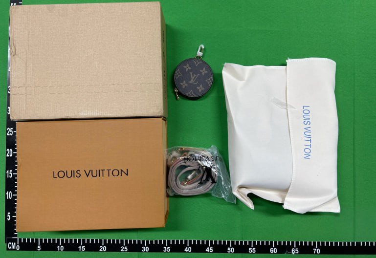 Louis Vuitton LV Bag -4