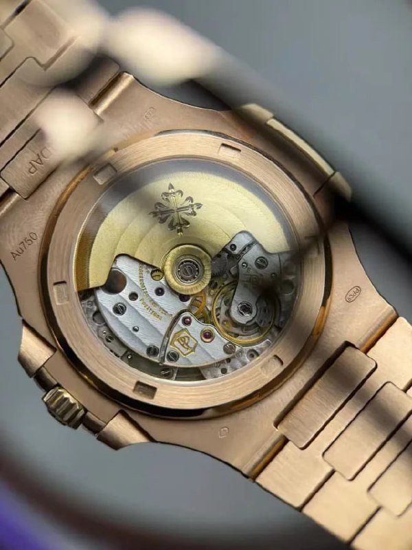 Patek Philippe watch -3