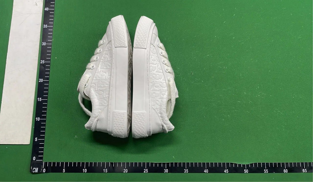 Dior B33 Shoe -2