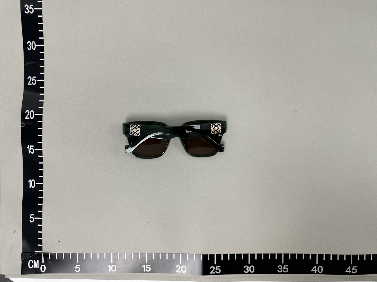 Loewe SunGlasses -3