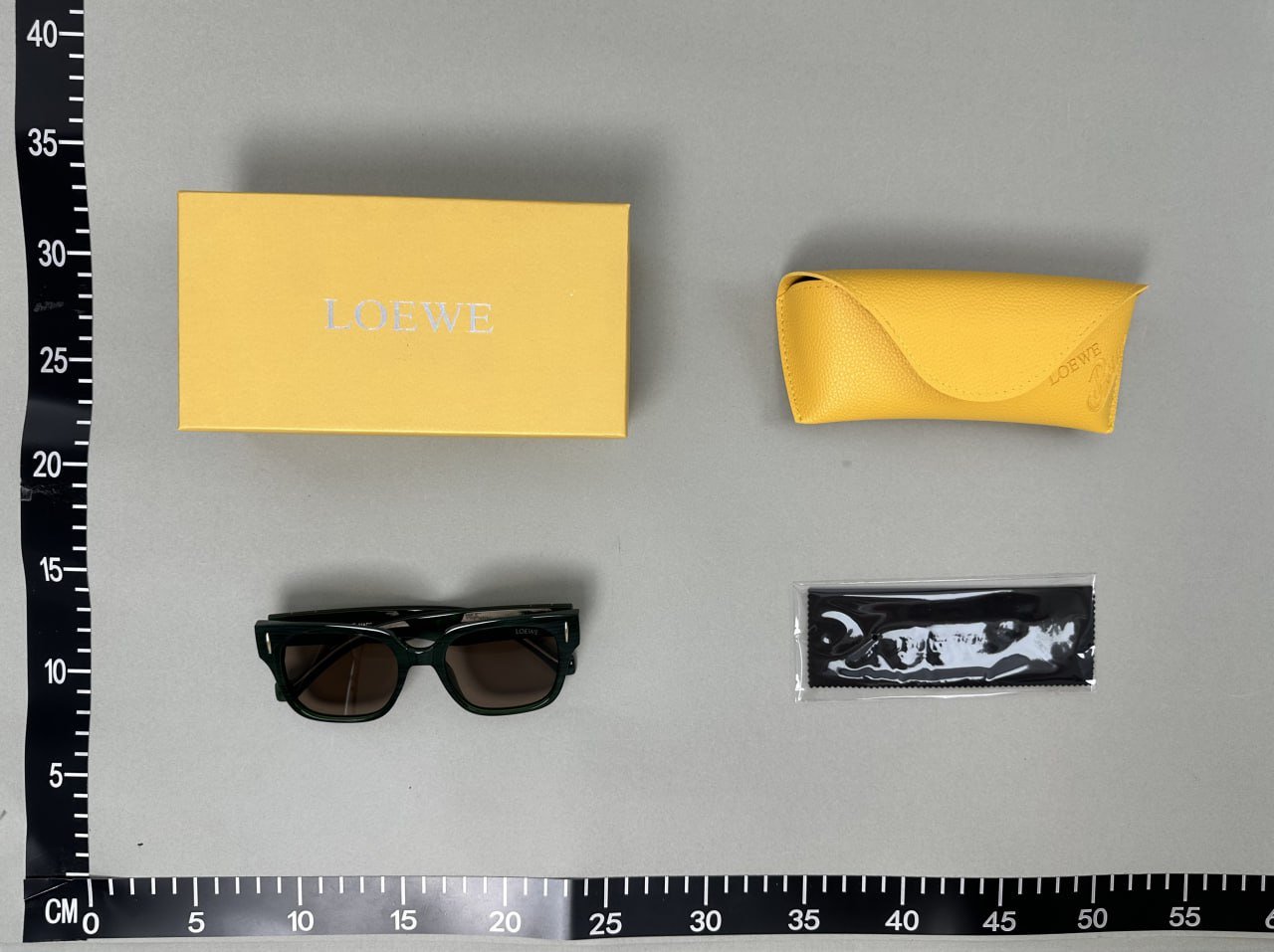 Loewe SunGlasses -2